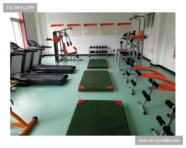 澳瑞特室外健身器材的特点与应用:澳瑞特品牌的室外健身器材优势与选购指南 澳瑞特室外健身器材的特点与应用:澳瑞特品牌的室外健身器材优势与选购指南