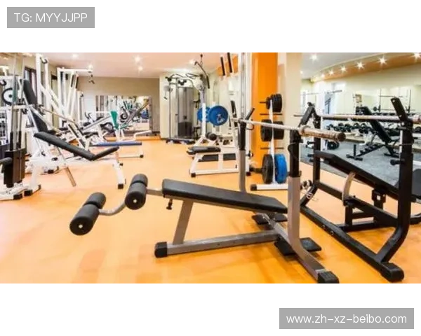 健身房推荐哪些实用的健身器材设备？